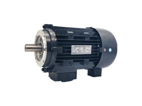 三相力矩電動(dòng)機(jī)廠家產(chǎn)品圖片