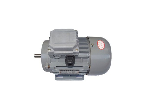 國標(biāo)三相異步電動機(jī)使用安全性 三相異步電動機(jī)廠家產(chǎn)品