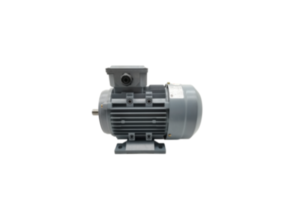 國標(biāo)三相異步電動機(jī)使用安全性 三相異步電動機(jī)廠家產(chǎn)品