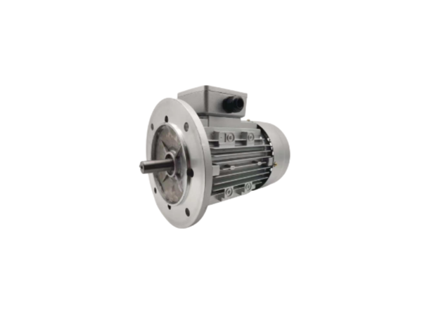 國標(biāo)三相異步電動機(jī)使用安全性 三相異步電動機(jī)廠家產(chǎn)品