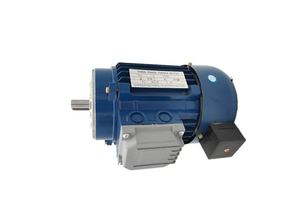 力矩電機(jī)生產(chǎn)廠家