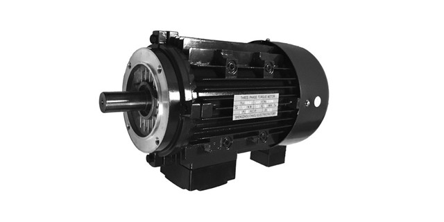 力矩電機(jī)廠家產(chǎn)品圖片