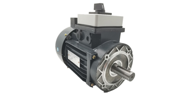 YLJ力矩電機廠家產(chǎn)品