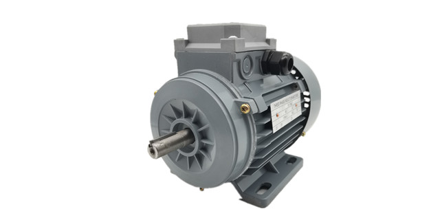 Y100-4 3KW三相異步電動機(jī)