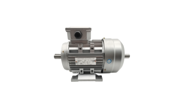 三相異步電動機(jī)廠家