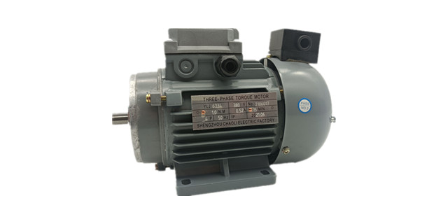三相力矩電機(jī)廠家產(chǎn)品圖片