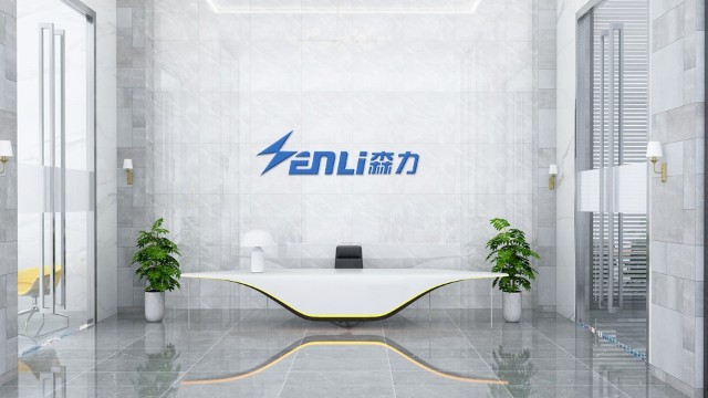 嵊州森力電機(jī)