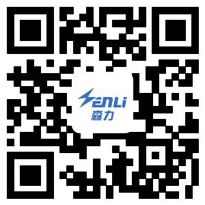 森力電機(jī)官網(wǎng)
