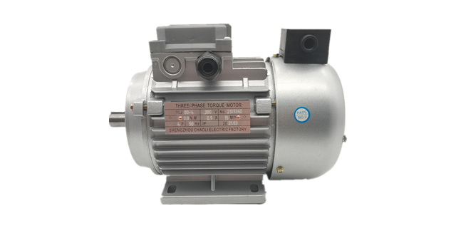 力矩電機(jī)廠家電機(jī)產(chǎn)品