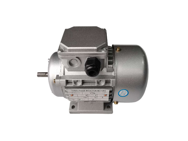 國(guó)標(biāo)電機(jī)YS5024