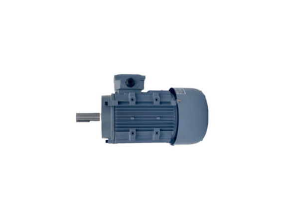 制動電機(jī)廠家產(chǎn)品