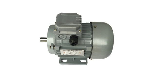 三相異步電動(dòng)機(jī)廠家電機(jī)產(chǎn)品