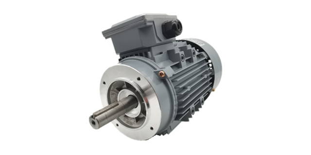 三相異步電動(dòng)機(jī)廠家產(chǎn)品圖片