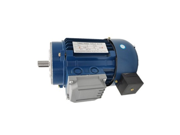 三相力矩電動(dòng)機(jī)廠家產(chǎn)品圖片