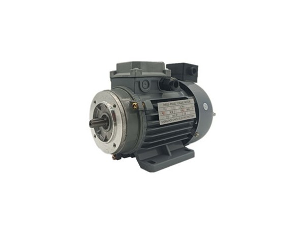 三相力矩電動(dòng)機(jī)廠家產(chǎn)品圖片