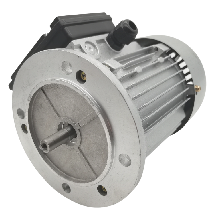 單相異步電動機(jī)