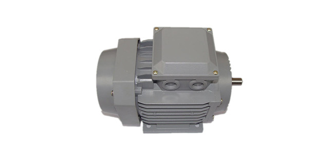 三相異步電動(dòng)機(jī)廠家產(chǎn)品