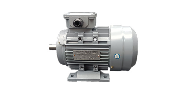 三相異步電動(dòng)機(jī)廠家產(chǎn)品